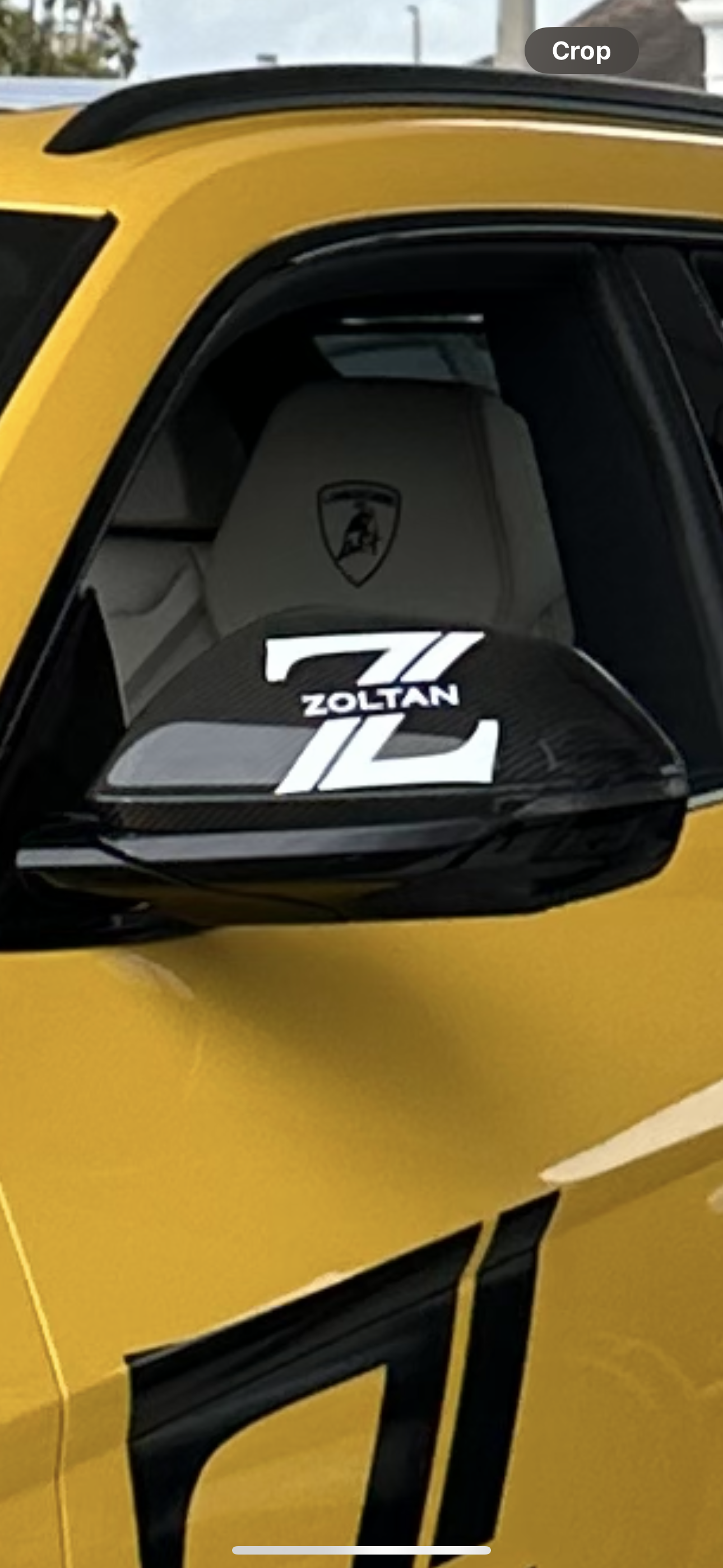 Zoltan logo sticker